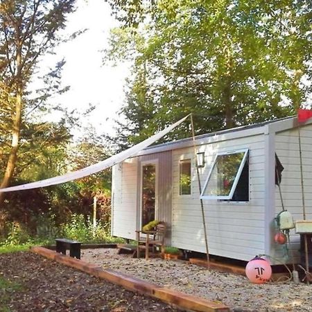 La Cabane du Pêcheur à 10min de Disneyland Paris - Cabane&Cabanon Chalifert Esterno foto